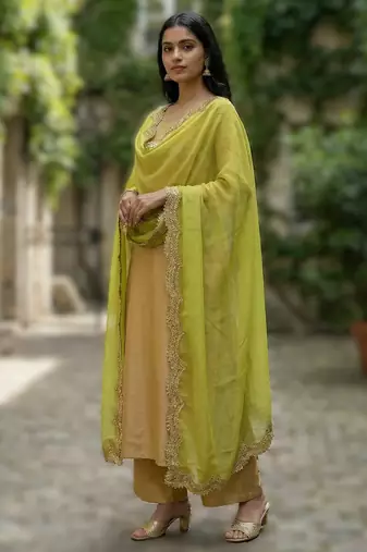 Parrot colour orgenza silk fabric thred sequnce embrodery dupatta