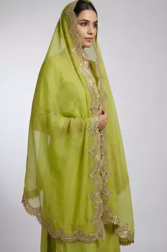 Parrot colour orgenza silk fabric thred sequnce embrodery dupatta