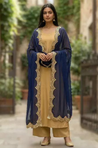 Blue colour orgenza silk fabric thred sequnce embrodery dupatta