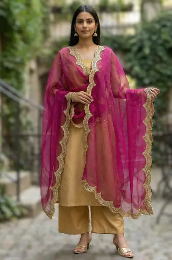Pink colour orgenza silk fabric thred sequnce embrodery dupatta