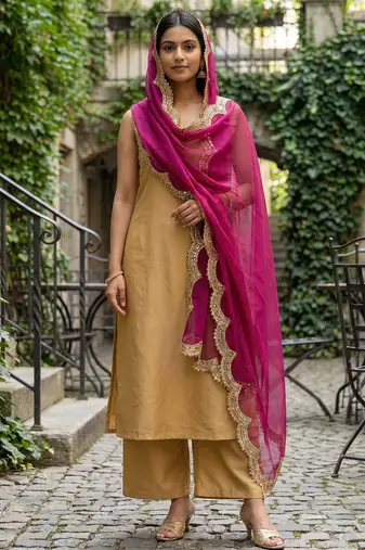 Pink colour orgenza silk fabric thred sequnce embrodery dupatta