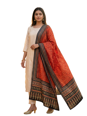 Printed raw cotton silk multi thred lace work stall dupatta 5