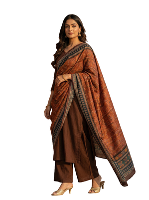 Printed raw cotton silk multi thred lace work stall dupatta 4
