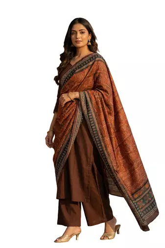 Printed raw cotton silk multi thred lace work stall dupatta