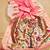 Pink soft organza silk blend fabric with paithani style lightweight saree with blouse