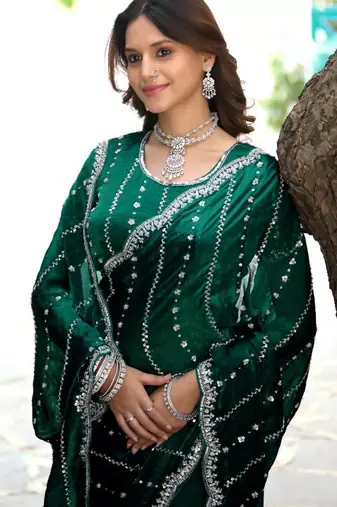 Indian green embellished pattern with border fandy satin saree with unstitched blouse