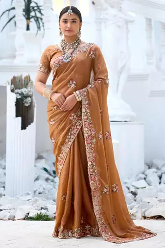 Fashionable brown embroidered border motifs moss shimmer saree with unstitched blouse