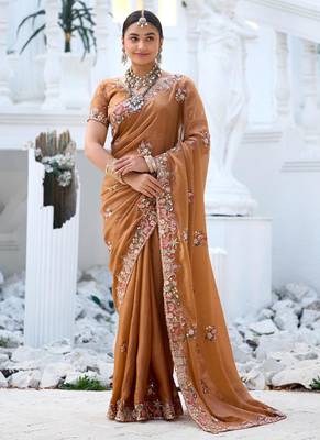 Fashionable brown embroidered border motifs moss shimmer saree with unstitched blouse 2
