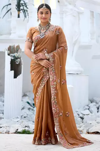 Fashionable brown embroidered border motifs moss shimmer saree with unstitched blouse