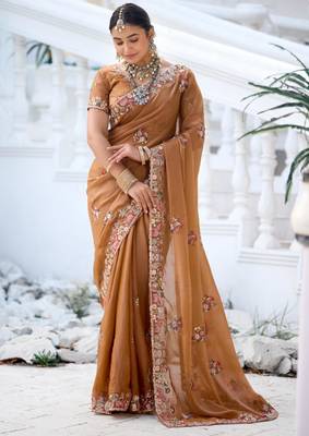 Fashionable brown embroidered border motifs moss shimmer saree with unstitched blouse 3