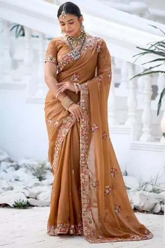 Fashionable brown embroidered border motifs moss shimmer saree with unstitched blouse