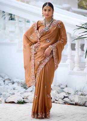 Fashionable brown embroidered border motifs moss shimmer saree with unstitched blouse 4