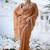 Fashionable brown embroidered border motifs moss shimmer saree with unstitched blouse