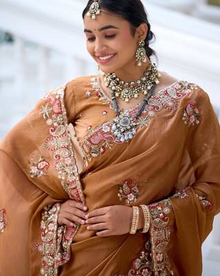 Fashionable brown embroidered border motifs moss shimmer saree with unstitched blouse 5