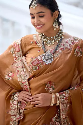 Fashionable brown embroidered border motifs moss shimmer saree with unstitched blouse