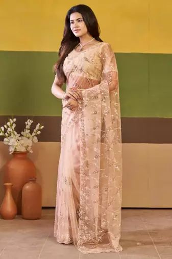 Ethnic champagne beige embroidered borders net saree with unstitched blouse
