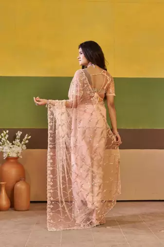 Ethnic champagne beige embroidered borders net saree with unstitched blouse