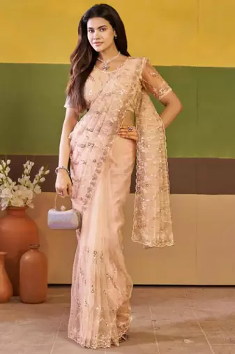 Ethnic champagne beige embroidered borders net saree with unstitched blouse