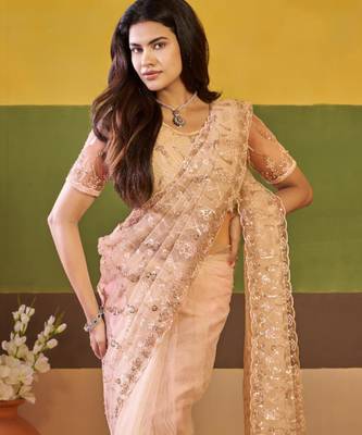 Ethnic champagne beige embroidered borders net saree with unstitched blouse 5