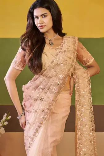 Ethnic champagne beige embroidered borders net saree with unstitched blouse