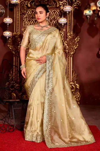 Trendy gold diamond sequin jaal embroidered border mono nylon fabric saree with unstitched blouse