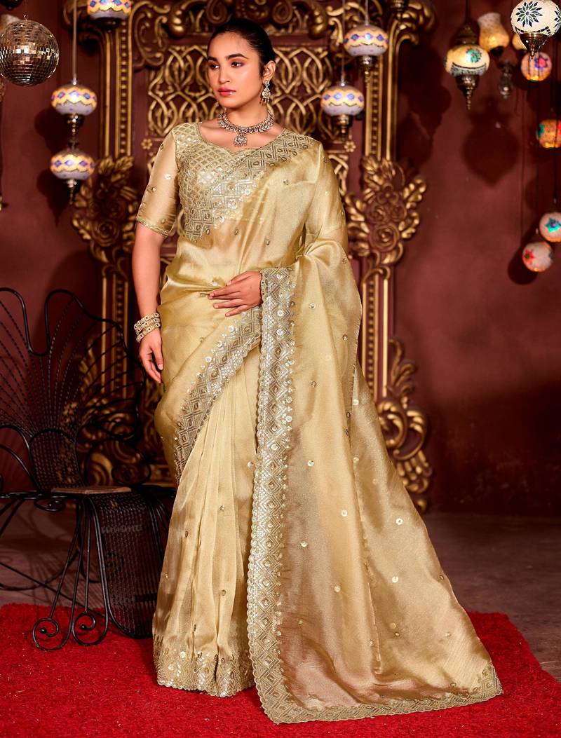 Trendy gold diamond sequin jaal embroidered border mono nylon fabric saree with unstitched blouse