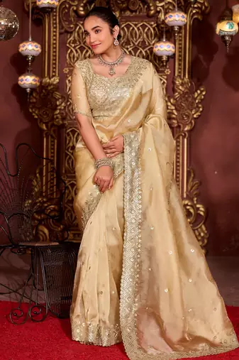 Trendy gold diamond sequin jaal embroidered border mono nylon fabric saree with unstitched blouse