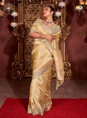 Trendy gold diamond sequin jaal embroidered border mono nylon fabric saree with unstitched blouse 3