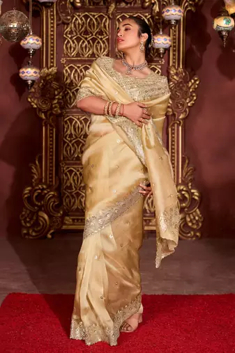 Trendy gold diamond sequin jaal embroidered border mono nylon fabric saree with unstitched blouse