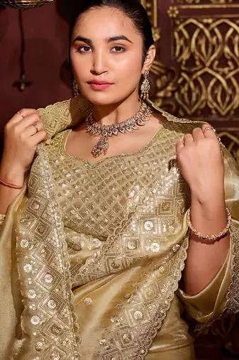 Trendy gold diamond sequin jaal embroidered border mono nylon fabric saree with unstitched blouse
