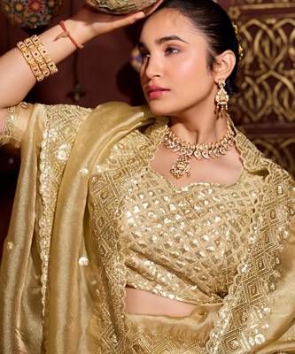 Trendy gold diamond sequin jaal embroidered border mono nylon fabric saree with unstitched blouse 5
