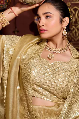 Trendy gold diamond sequin jaal embroidered border mono nylon fabric saree with unstitched blouse