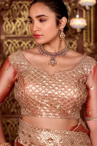 Indian peach diamond sequin jaal embroidered border mono nylon fabric saree with unstitched blouse
