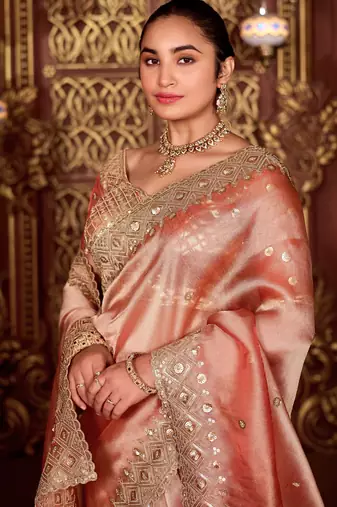 Indian peach diamond sequin jaal embroidered border mono nylon fabric saree with unstitched blouse