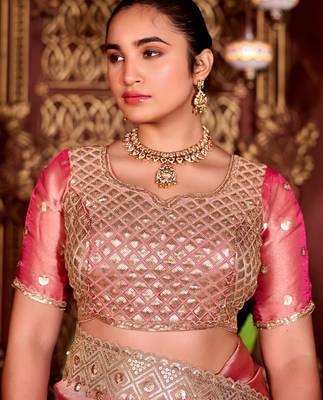 Elegance pink diamond sequin jaal embroidered border mono nylon fabric saree with unstitched blouse 2