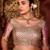 New collection wine diamond sequin jaal embroidered border mono nylon fabric saree with unstitched blouse