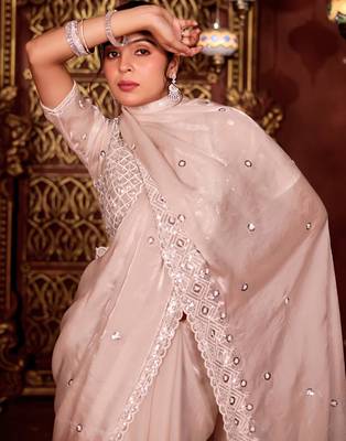Designer peach diamond sequin jaal embroidered border mono nylon fabric saree with unstitched blouse 4
