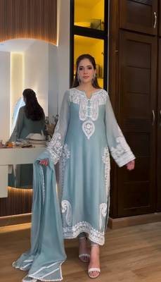 Sky Blue  Color  Embroidery Work Organza Salwar Suit  2