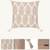  off white botanical embroidered acrylic cushion cover (16"x16")