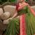 Mehendi color pochampally silk blend ikkat pattern zari woven border sarees