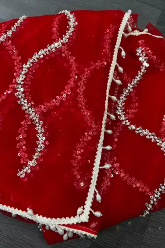 Red designer net saree with beads, sequins & pearl embroidery