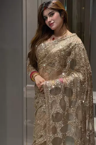 Golden net embroidered saree with sequins work