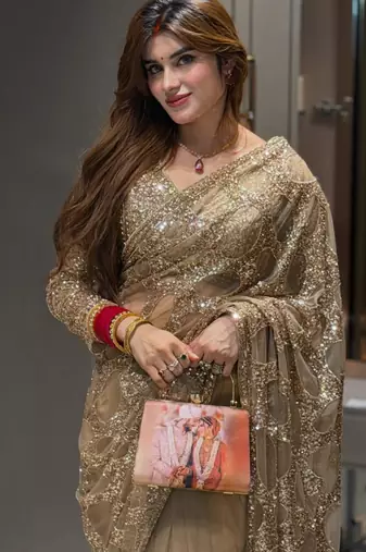 Golden net embroidered saree with sequins work