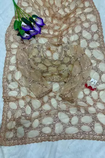 Golden net embroidered saree with sequins work