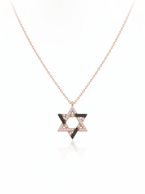 925 Sterling Silver Rose Gold Black & White CZ Hexagram Star of David Pendant Necklace Set for Women 2