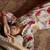 Women Floral Printed Regular Pure Cotton Kurta with Trousers