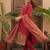 Women Ethnic Motifs Embroidered Regular Gotta Patti Kurta with Trousers & With Dupatta