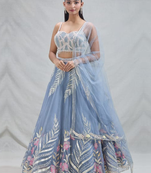 Women's  Sky Blue Net Zari  Embroidery Work Lehenga Choli