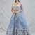 Women's  Sky Blue Net Zari  Embroidery Work Lehenga Choli