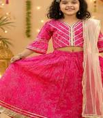 Pink block print lehenga